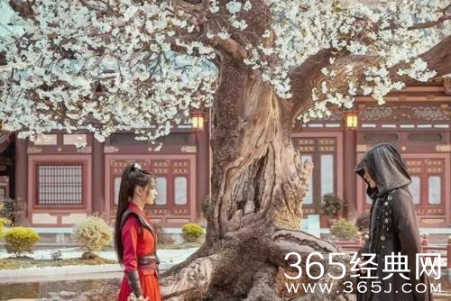 《月歌行》黑衣人的目的