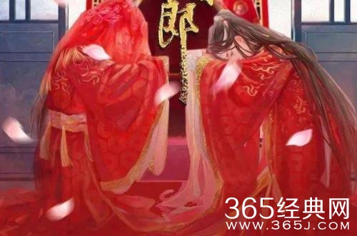 《新上错花轿嫁对郎》人物关系