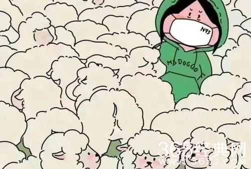 天选牧羊人梗介绍