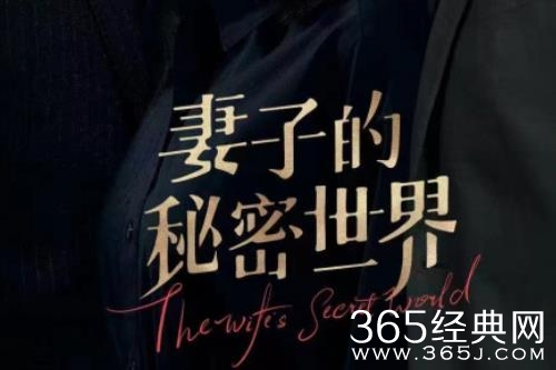 《妻子的秘密世界》剧情介绍