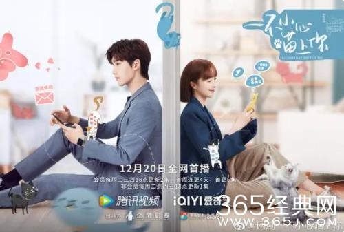 邢昭林、胡冰卿新剧《一不小心喵上你》首播