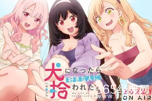 《生而为狗我很幸福》观看网站