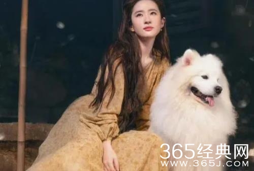 《去有风的地方》许红豆结局