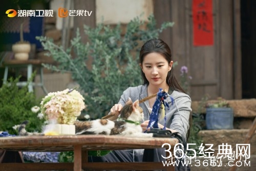 《去有风的地方》许红豆人物解析