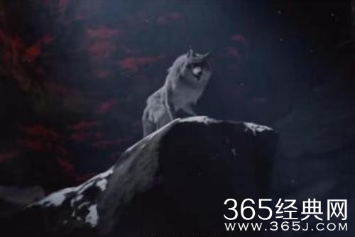 《中国奇谭》林林