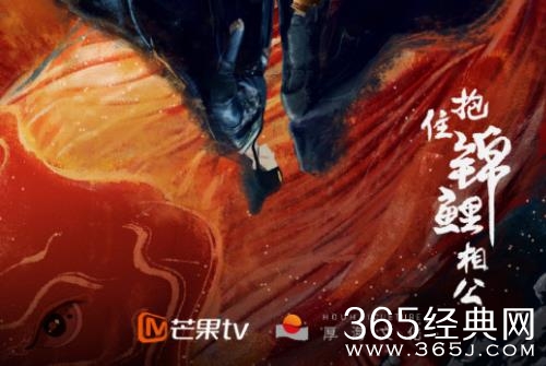 《抱住锦鲤相公》播出平台