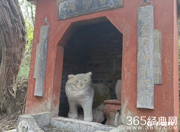 《中国奇谭》小猫庙原型在中国，并非来自日漫《夏目友人帐》