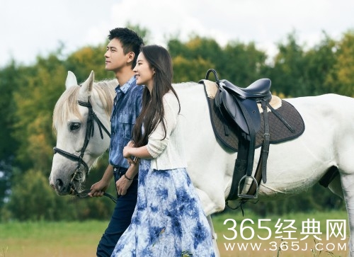 《去有风的地方》配音表