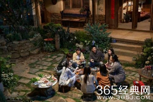 《去有风的地方》温暖热播质感获赞