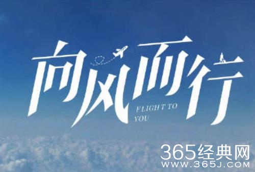 《向风而行》今晚大结局