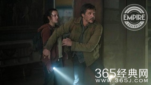 美剧《最后生还者》观看网站