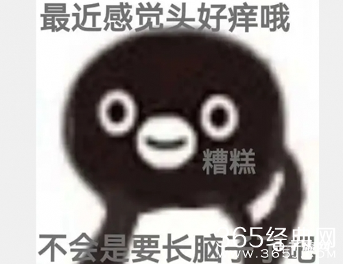 《抖音》头有点痒好像要长出脑子梗介绍
