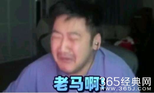 茄子哭马梗介绍