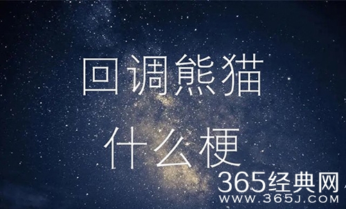 回调熊猫梗介绍