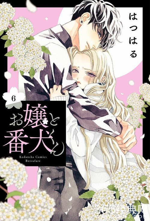 《大小姐和看门犬》2023年确定动画化官方宣传彩页公开