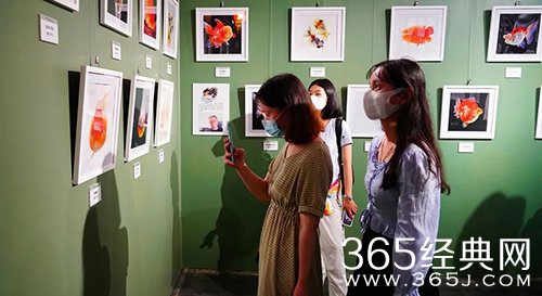 《百度》看展式社交含义介绍