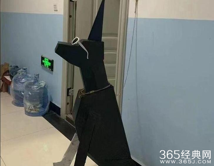 《百度》纸箱小狗梗介绍