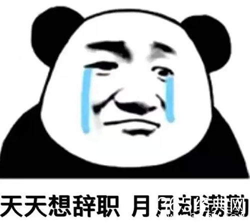 《百度》碰辞梗介绍