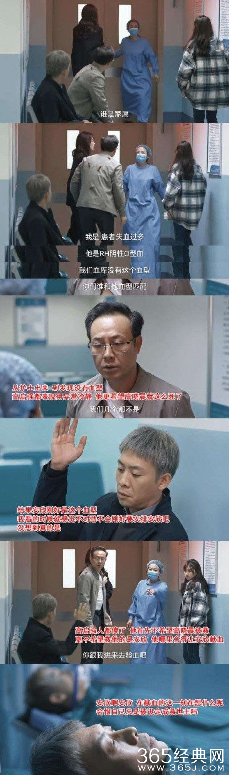 京海唯一纯白的茉莉花梗介绍