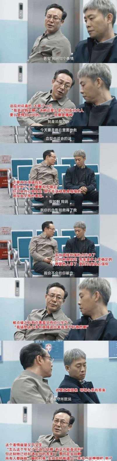 京海唯一纯白的茉莉花梗介绍