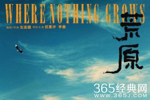 电影《荒原》剧情介绍