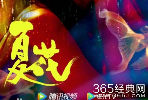 《夏花》播出平台