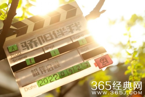 《骄阳伴我》原著小说