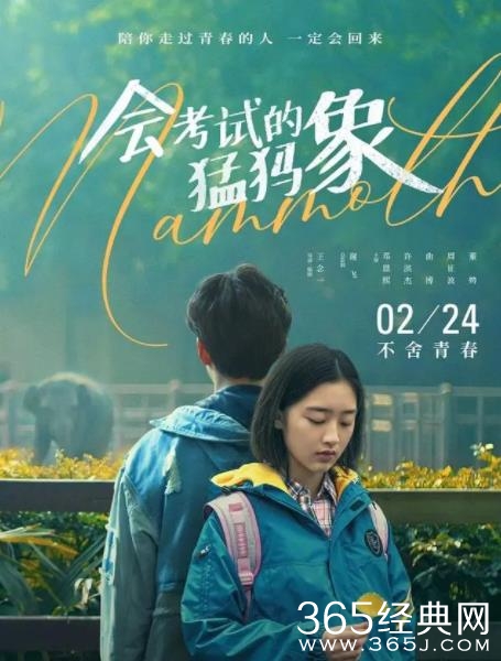 电影《会考试的猛犸象》定档2.24