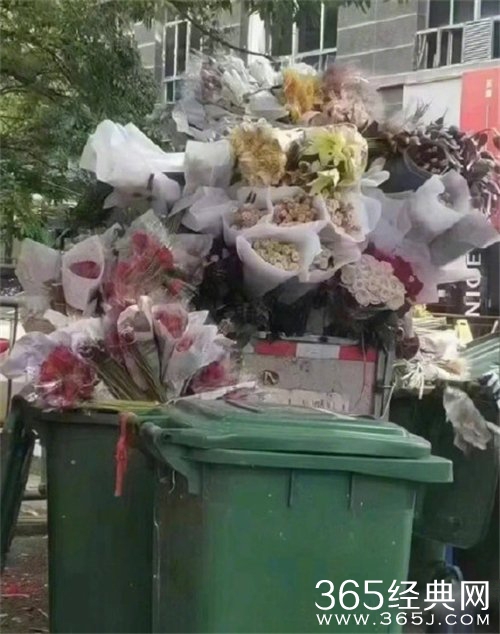 浪漫回收站梗介绍