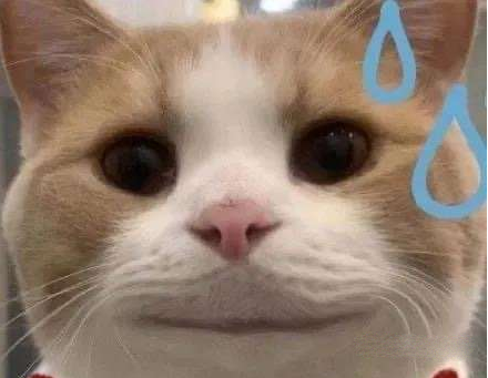 内娱活人梗介绍