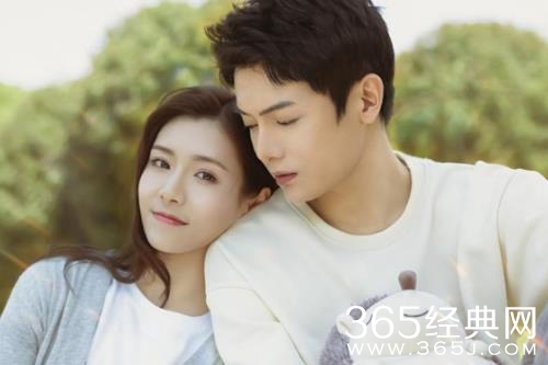 《我的刺猬女孩之念念不忘》剧情介绍