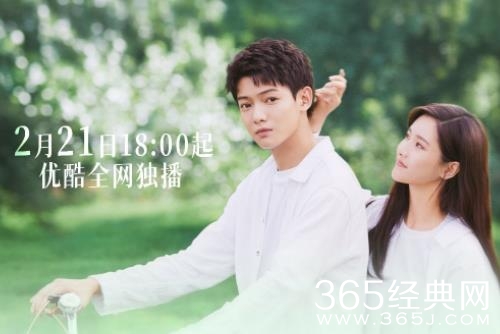 《我的刺猬女孩之念念不忘》更新时间