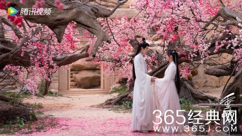 《重紫》文紫结局