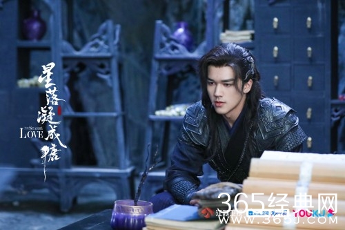 《星落凝成糖》沉渊储君