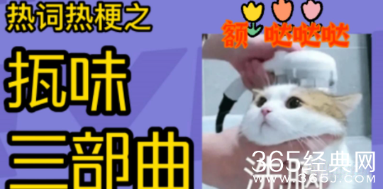 《抖音》佤味三部曲梗介绍