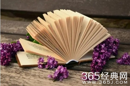 《花琉璃轶闻》原著小说