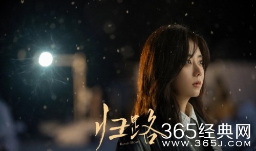 《归路》播出时间