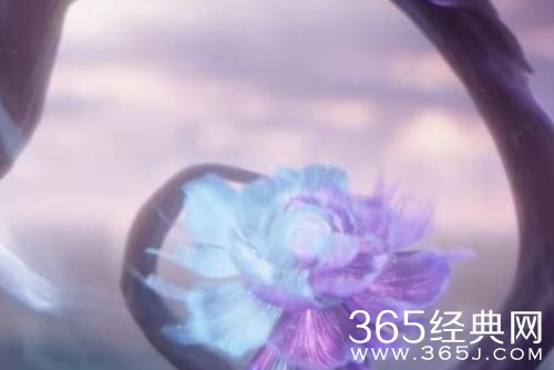 《星落凝成糖》双生花归墟的关系