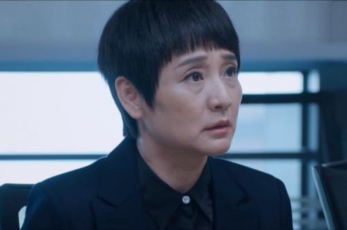 《向风而行》结局：倪湛当副总，方京云解开心结，李语珩嫁乔正宇