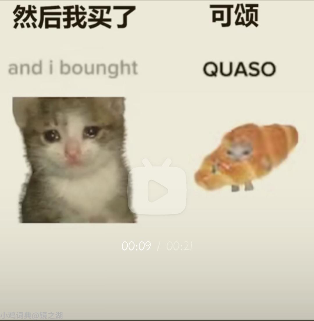 可颂猫是什么意思