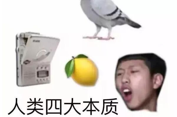 人类四大本质是什么梗