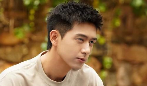 《去有风的地方》收视率破2， 刘亦菲真能够扛剧,