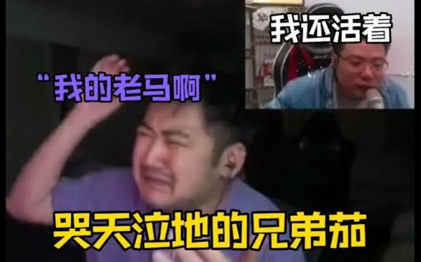 老马啊老马表情包大全汇总