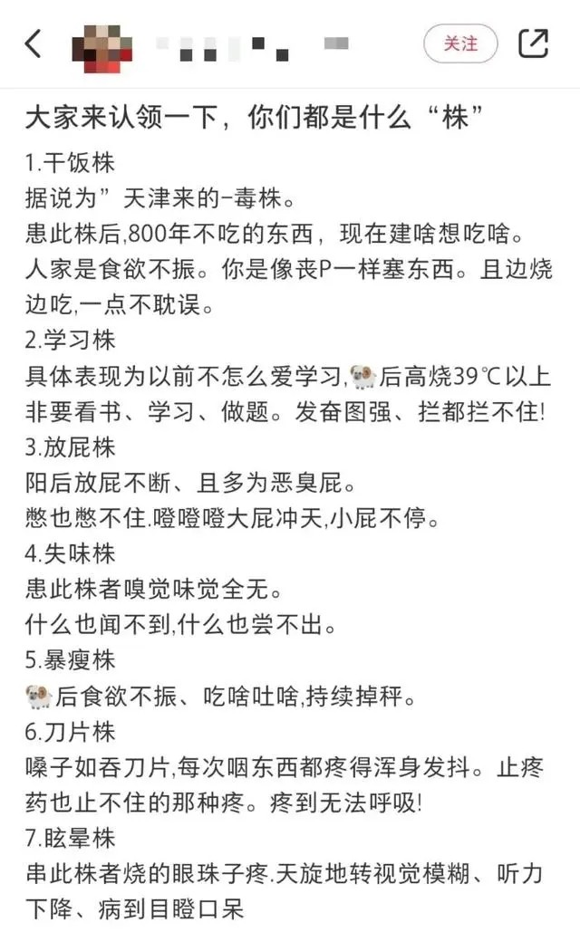 刀片株干饭株学习株毁容株梗是什么意思