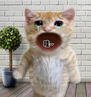 娃娃丢什么意思