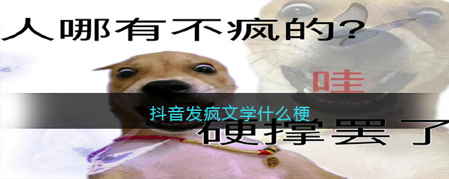 抖音发疯文学梗是什么意思