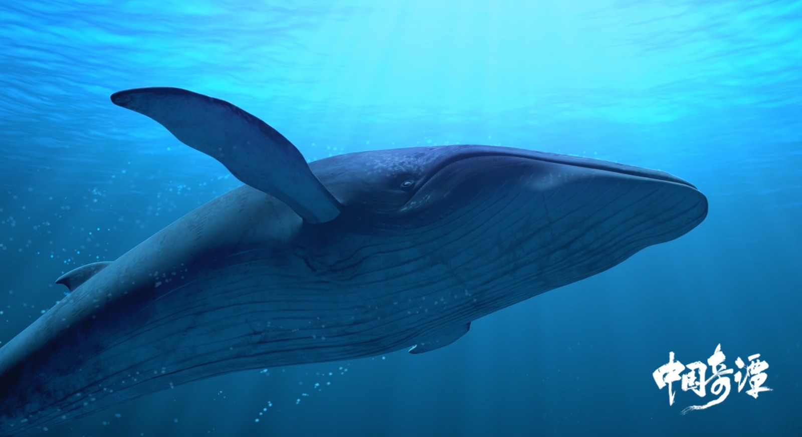 《中国奇谭》第六集「飞鸟与鱼」高清电脑桌面壁纸分享