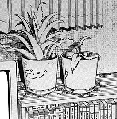 藤本树《电锯人》第119话熟肉版已更新