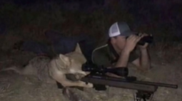 《抖音》加油布鲁斯你可以的是什么梗