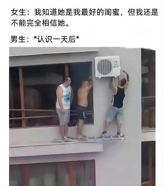 加油布鲁斯你可以的表情包汇总2023最新